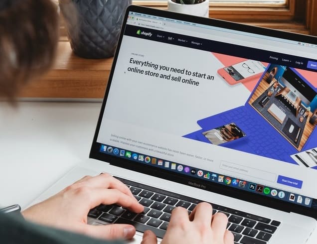 Online store development services